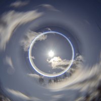 Солнышко :: Lyubov Busova