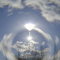 Весна :: Lyubov Busova