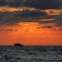 Домой :: Юрий. Шмаков