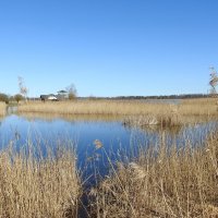 весна :: ИННА ПОРОХОВА