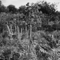 Название отсутствует :: Денис Безногов