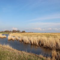 У реки. :: Виктор 