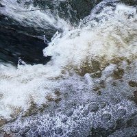 Скользящий на струе... :: Владимир Шошин