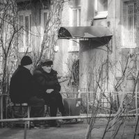 Весенние посиделки (чб) :: Сергей Царёв