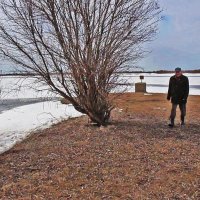 Апрель...Встречая ледоход на Юганской Оби! :: Владимир 