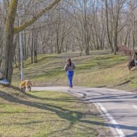 Трио :: Валерий Иванович