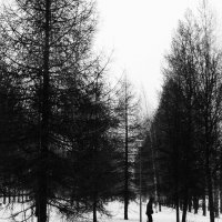 "Весеннее" настроение. :: Василий Палий