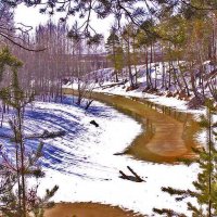 Апрель...Протока Коим- приток Оби. :: Владимир 