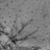 Снова осень. :: Владимир Мисик