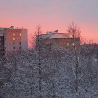 Утро :: ZNatasha -