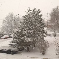 В с.Заворово :: Елена Семигина