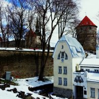 По дороге на Тоомпеа :: Aida10 