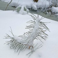 Зима вернулась :: Татьяна Тюменка