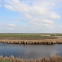 У реки. :: Виктор 