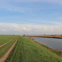 Мои дороги. :: Виктор 