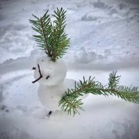 Апрельский ПТИЦ 25г)) :: Любовь 