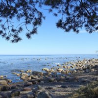 весна :: ИННА ПОРОХОВА