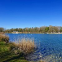 "..Улыбчивый апрель, держись,   Лети легко под облаками,..." :: Галина 