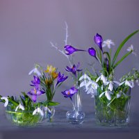 Весна на столе :: Olenka 