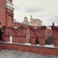 Бдительность. :: Татьяна Помогалова Бдительность. :: Татьяна Помогалова