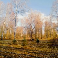 Весенний парк :: Сергей Кочнев