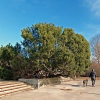 Прогулка по Пирита :: Veera V