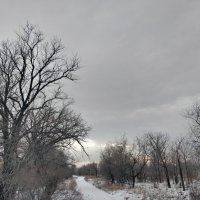 Зимняя дорога :: Андрей Хлопонин