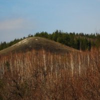 Хвалынский нацпарк :: Елена Шаламова Хвалынский нацпарк :: Елена Шаламова