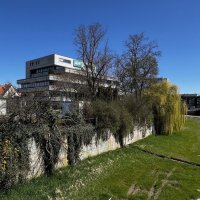 Мир Природы  "Natural World" :: "The Natural World" Александер