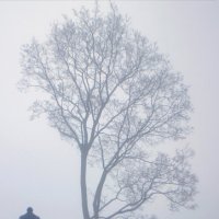 *** :: Сергей Григорьев