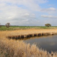 **** :: Виктор 