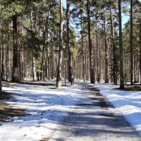 Зеленогорск. Северная Ривьера :: Наталья Герасимова