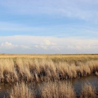 *** :: Виктор *** :: Виктор