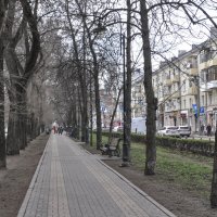 Старинный сквер на ул. Кольцовская :: Татьяна Машошина Старинный сквер на ул. Кольцовская :: Татьяна Машошина