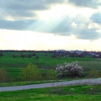 Весенний вечер :: Татьяна Евдокимова