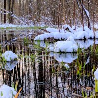 начало апреля 8 :: Александр Прокудин
