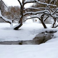 В парк вернулась зима. :: Милешкин Владимир Алексеевич 