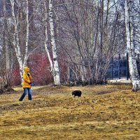 Май...На церковном холме с песиком! :: Владимир 