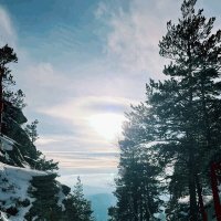 Горный лес :: Георгиевич 