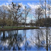 Прогулка по парку. :: Валерия Комова Прогулка по парку. :: Валерия Комова