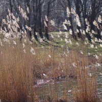 Март :: Рита Симонова Март :: Рита Симонова