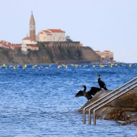 Возле моря :: Сергей Титов Возле моря :: Сергей Титов