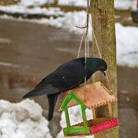 Хоть что-нибудь там есть?.. :: Светлана 