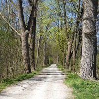 "Дорога - это жизнь, и жизнь - это дорога." - Jack Kerouac... :: Галина 