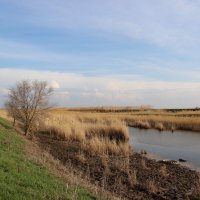 **** :: Виктор 