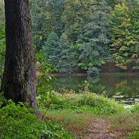 Кузьминский парк :: Игорь Белоногов