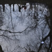 *** :: Сергей Сергеев