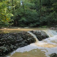 Из прогулки вдоль реки Агура. :: Евгений Седов