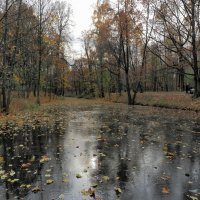 Осенние заморозки :: Евгений Седов Осенние заморозки :: Евгений Седов