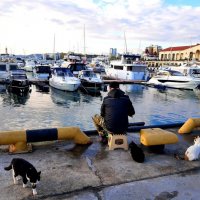 ПОРТ СОЧИ. АПРЕЛЬ 2025 :: Tata Wolf